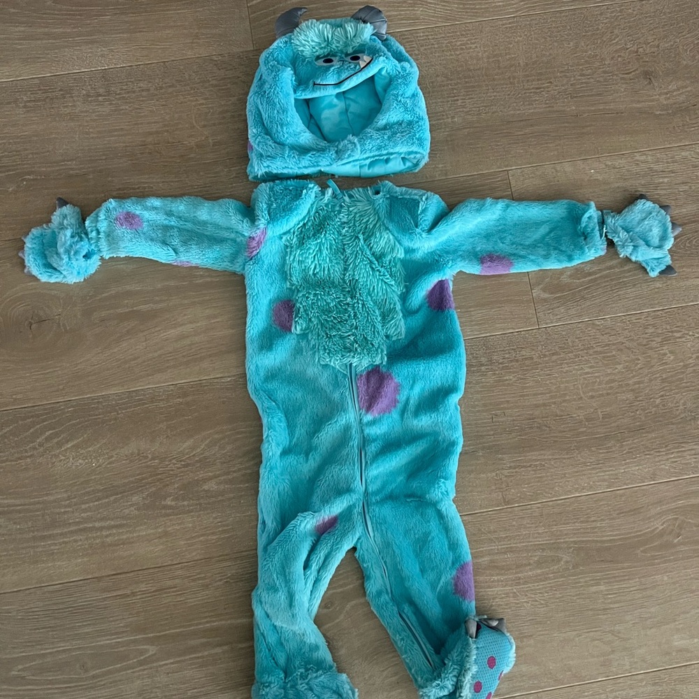 Monsters Inc Sully costume